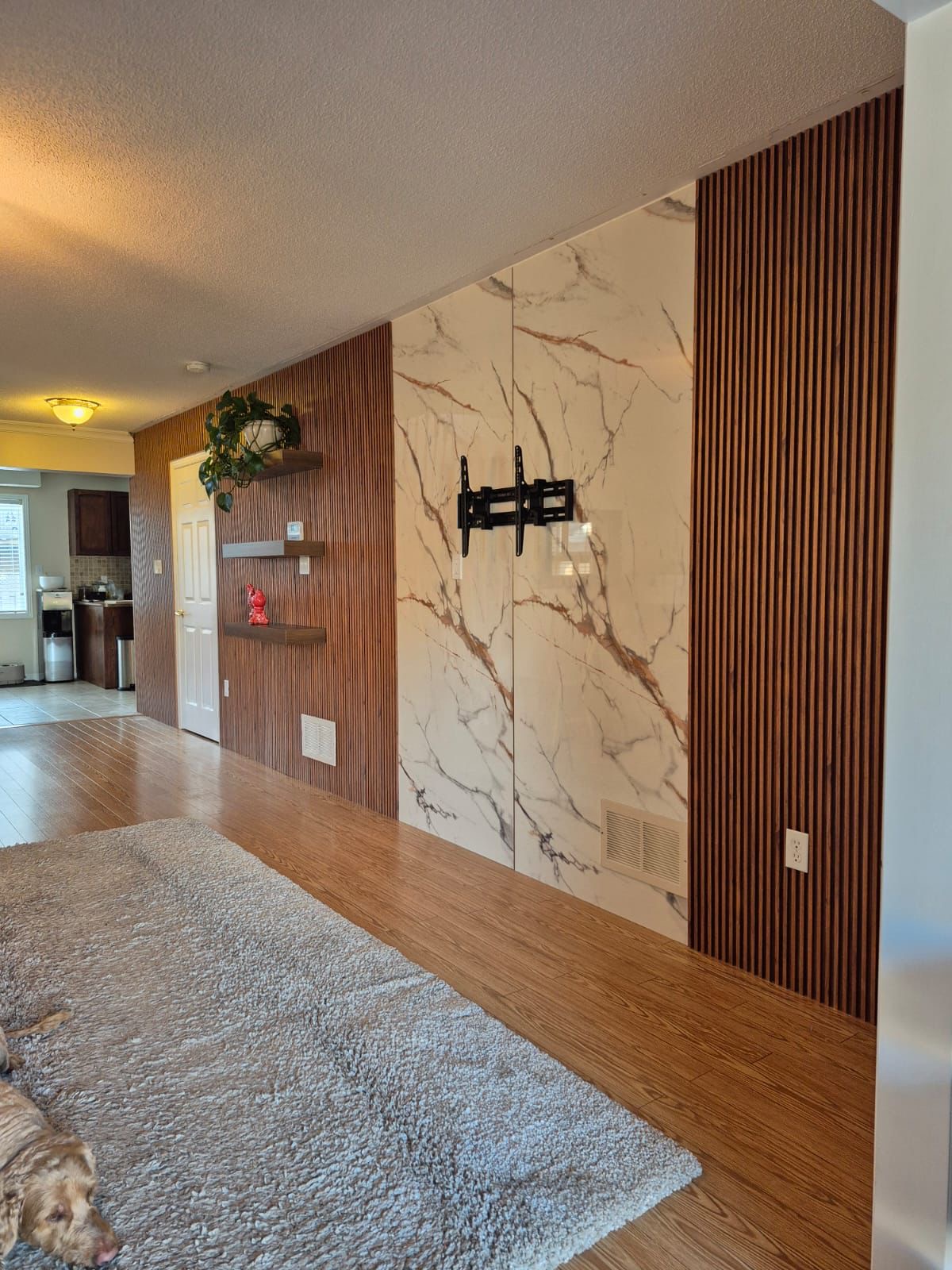 Living room accent wall with dark wood panels, white — European window and door project, Vireo Homes GTA